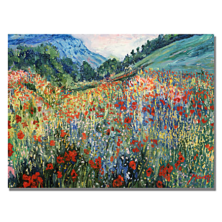 Trademark Global Field Of Wild Flowers Gallery-Wrapped Canvas Print By Anonymous, 22"H x 32"W