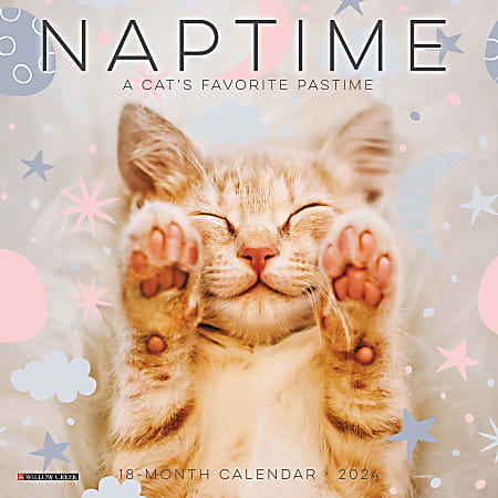Cat-Astrophe 2024 Wall Calendar – Willow Creek Press