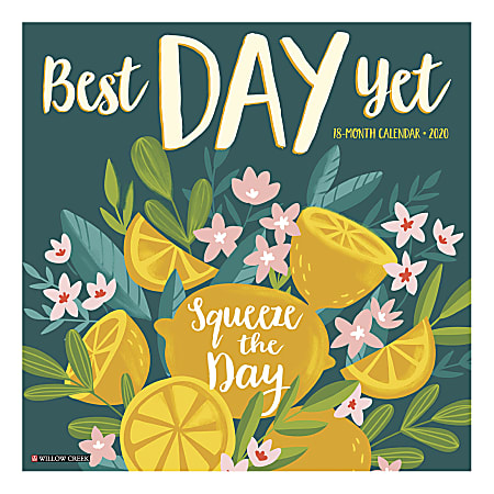 Willow Creek Press Inspirational Monthly Wall Calendar, 12" x 12", Best Day Yet, December To January 2020