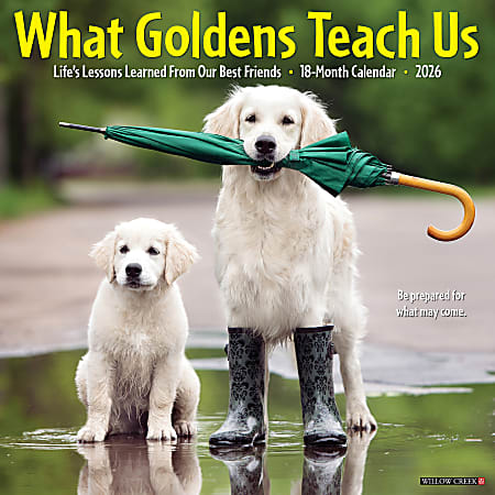 2026 Willow Creek Press Animals Monthly Wall Calendar, 12" x 12", What Goldens Teach Us, January To December, 53188