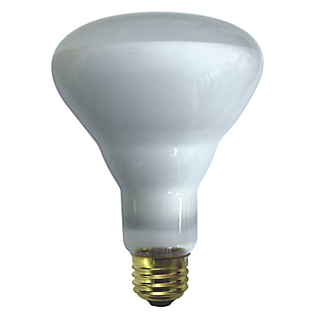 Havells USA Supreme Indoor Flood Bulb, 65 Watts