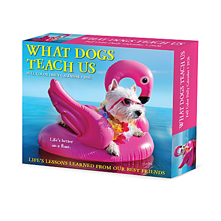 2026 Willow Creek Press Page-A-Day Daily Desk Calendar, 6-1/4" x 5-1/2", What Dogs Teach Us, January To December, 54512
