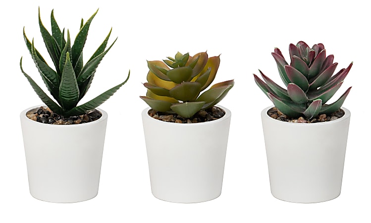 Realspace™ 5” Artificial Mixed Potted Succulents, 5”H x 6-1/2”W x 2-1/2”D, Green/White, Pack Of 3 Succulents