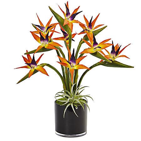 Nearly Natural Bird Of Paradise 24”H Plastic Silk Floral Arrangement With Black Glossy Cylinder Planter, 24”H x 20-1/2”W x 20-1/2”D, Orange
