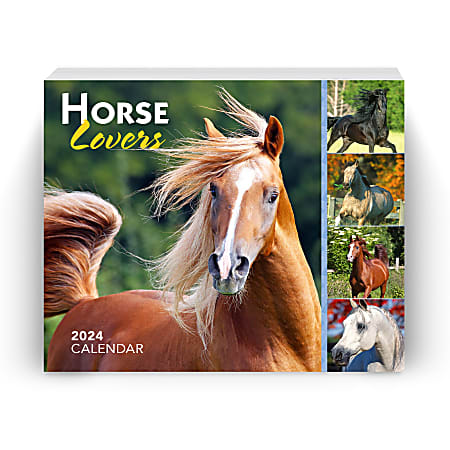 2024 Brown Trout Fun And Humor Daily Boxed Desk Calendar, 5” x 6”, Horse Lovers, January To December