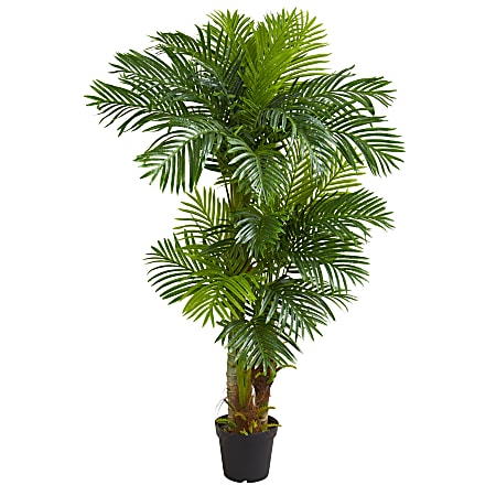 Nearly Natural Hawaii Palm 72”H Artificial Tree With Pot, 72”H x 20”W x 20”D, Green