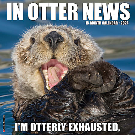 2024 Willow Creek Press Humor & Comics Monthly Wall Calendar, 12" x 12", In Otter News, January To December