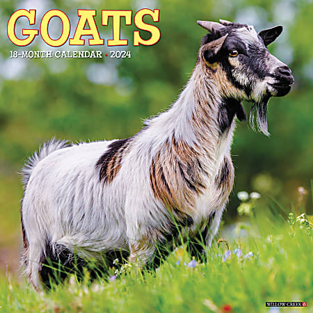 2024 Willow Creek Press Animals Monthly Wall Calendar, 12" x 12", Goats, January To December