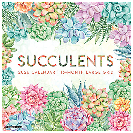 2026 Willow Creek Press Art & Design Monthly Wall Calendar, 12" x 12", Succulents—Large Grid, January To December, 55564