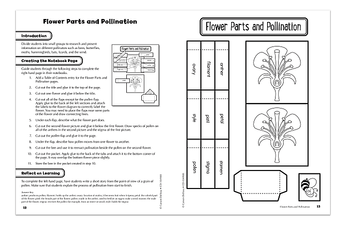 Carson Dellosa Interactive Notebooks Science Grade 4 - Office Depot