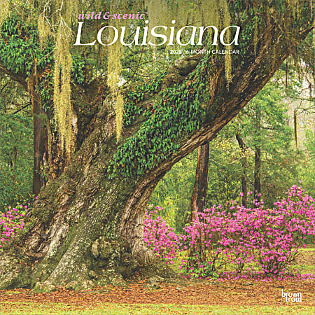 2025 BrownTrout Louisiana Wild & Scenic Monthly Plastic-Free Square Wall Calendar, 12" x 12", American States, January to December 2025, 9781975475123