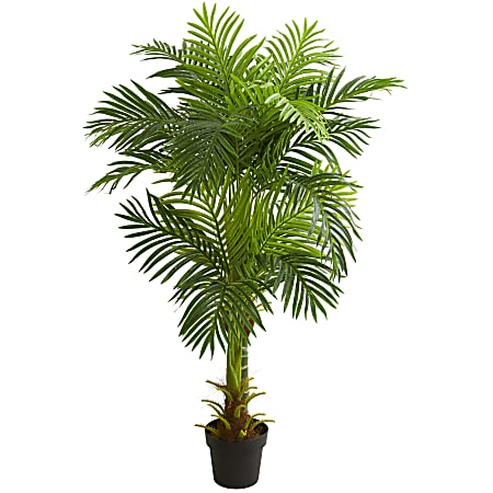 Nearly Natural Double Stalk Hawaii Palm 60”H Artificial Tree With Pot, 60”H x 11”W x 11”D, Green