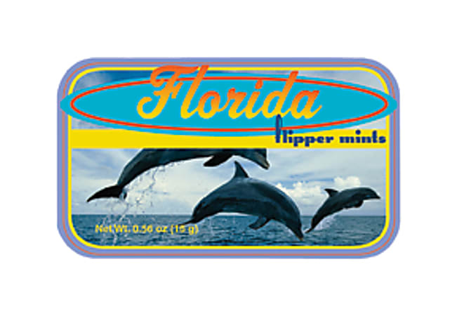 AmuseMints® Destination Mint Candy, Florida Flipper, 0.56 Oz, Pack Of 24