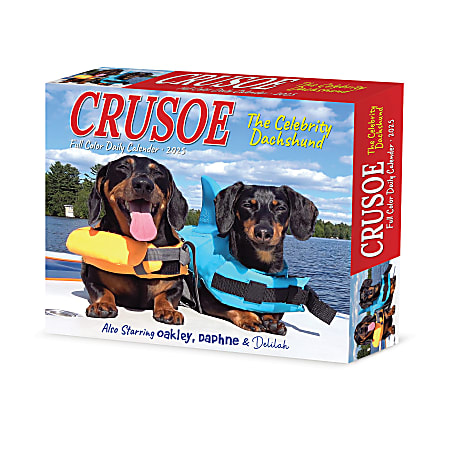 2025 Willow Creek Press Daily Desk Box Calendar, 5-1/2” x 6-1/4”, Crusoe the Celebrity Dachshund, January to December 2025, 40768