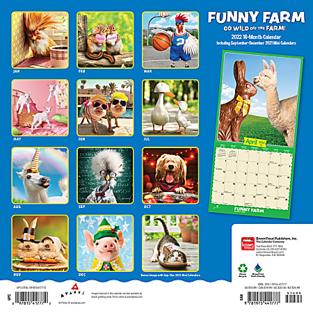Brown Trout Animal Monthly Wall Calendar, 12” x 12”, Funny Farm ...