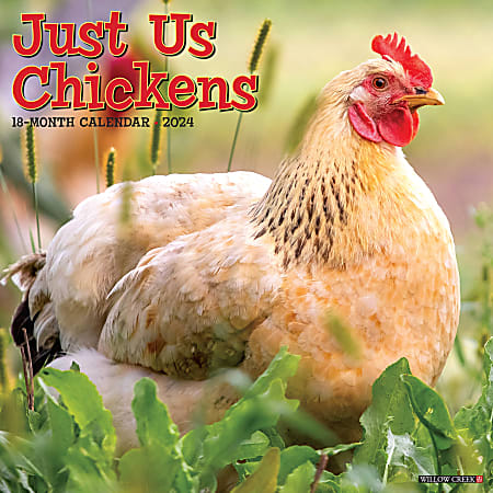 2024 Willow Creek Press Animals Monthly Wall Calendar, 12" x 12", Just Us Chickens, January To December