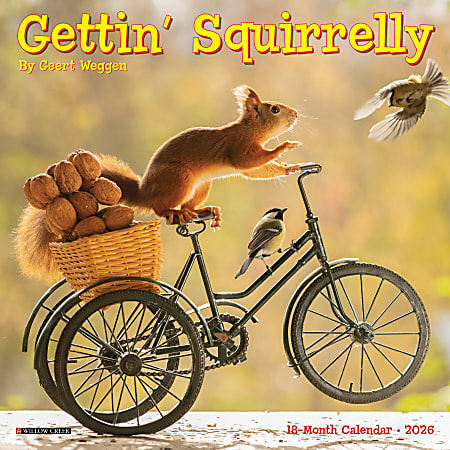 2026 Willow Creek Press Monthly Mini Wall Calendar, 7" x 7", Gettin' Squirrelly, January To December, 53591