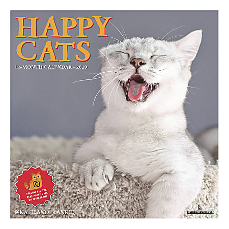 Willow Creek Press Animals Monthly Wall Calendar, 12" x 12", Happy Cats, January To December 2020, 06603