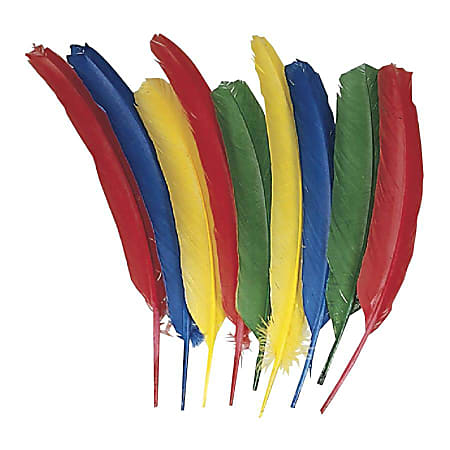 Creativity Street Quill Feathers - Multipurpose - 24 Piece(s) - 24 / Pack - Multicolor Creativity Street Quill Feathers - Multipurpose - 24 Piece(s) - 24 / Pack - Multicolor