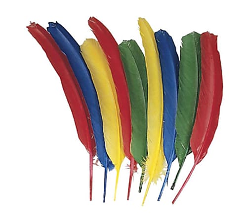 Creativity Street Quill Feathers - Multipurpose - 24 Piece(s) - 24 / Pack - Multicolor Creativity Street Quill Feathers - Multipurpose - 24 Piece(s) - 24 / Pack - Multicolor