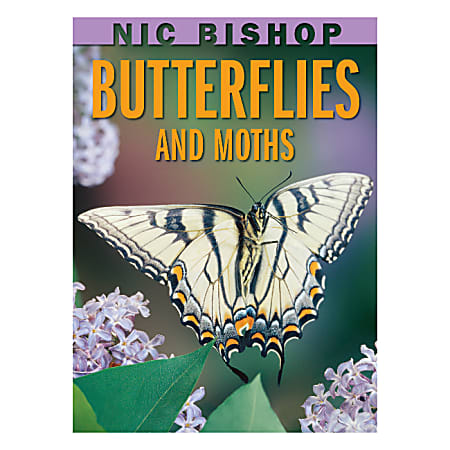 Scholastic Butterflies And Moths