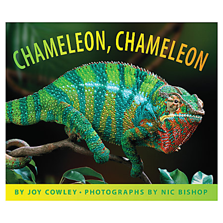 Scholastic Chameleon, Chameleon