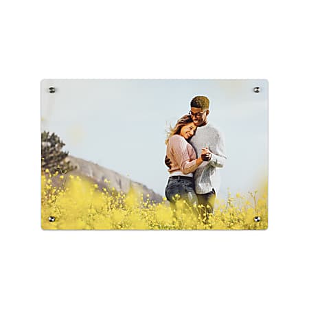 Custom Full-Color Aluminum Composite Metal Photo Panel With Brushed Silver Stand-Off Mounting Hardware, 12" x 18"