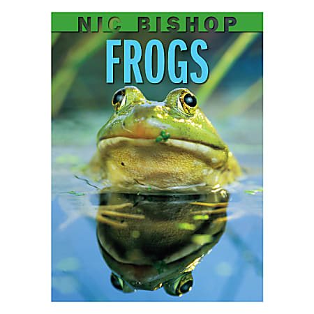 Scholastic Frogs