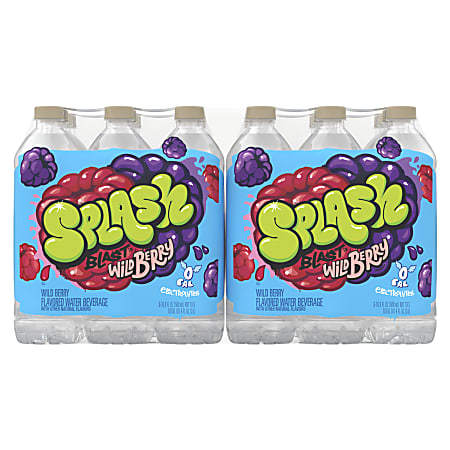 Splash Blast Berry Flavored Water Beverage 16.9 Oz Case of 24 Bottles ...