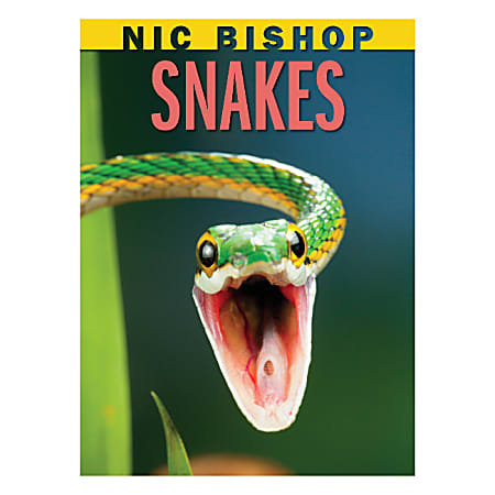 Scholastic Snakes