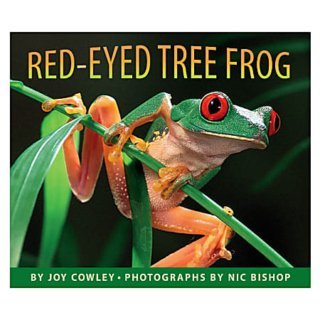 Scholastic Red-Eyed Tree Frog