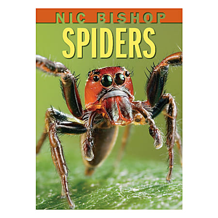 Scholastic Spiders