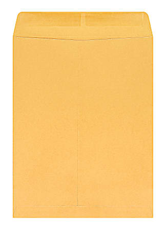10 x 13 Catalog Envelopes