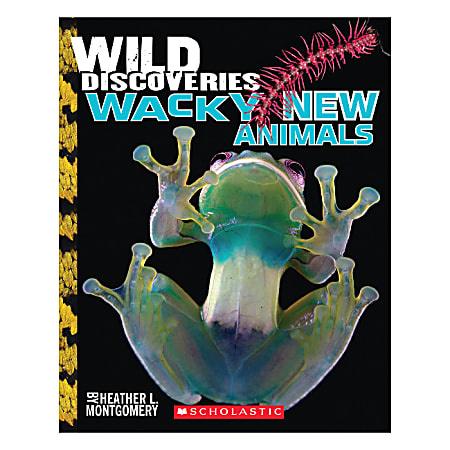 Scholastic Wild Discoveries: Wacky New Animals