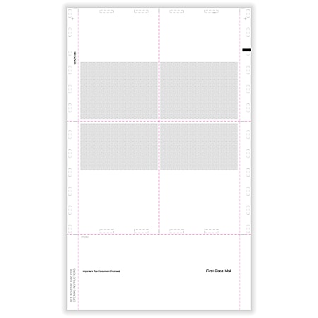 ComplyRight® W-2 Tax Forms, Blank Face With Backer Instructions, 2-Up, Laser, 8-1/2" x 11", Pack Of 100 Forms