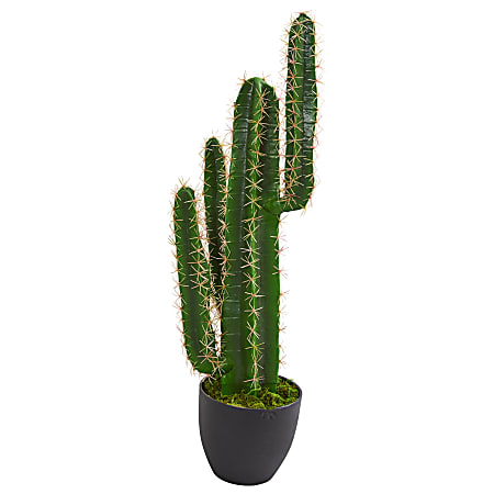 Nearly Natural 30" Artificial Regular Branches Cactus Plant With Pot, Green/Black