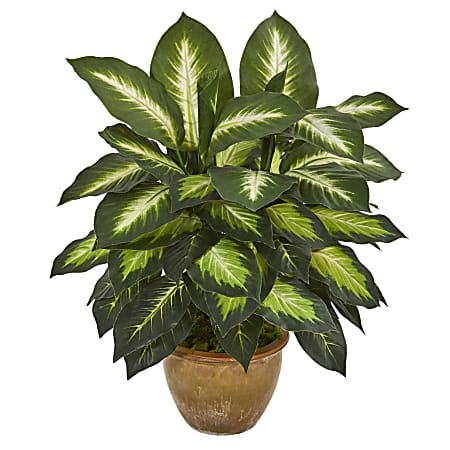Nearly Natural 18"H Dieffenbachia Artificial Plant With