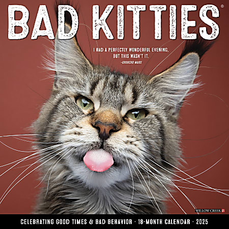 2025 Willow Creek Press Animals Wall Calendar 12 x 12 Bad Kitties