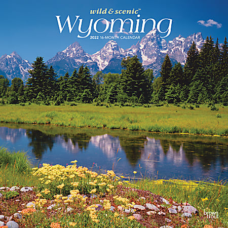 Brown Trout Monthly Regional Wall Calendar, 24" x 12", Wild & Scenic Wyoming, January to December 2022, 9781975439750