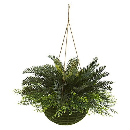 Nearly Natural Cycas 13”H Artificial Indoor/Outdoor Plant With Mossy Hanging Basket, 13”H x 17”W x 17”D, Green
