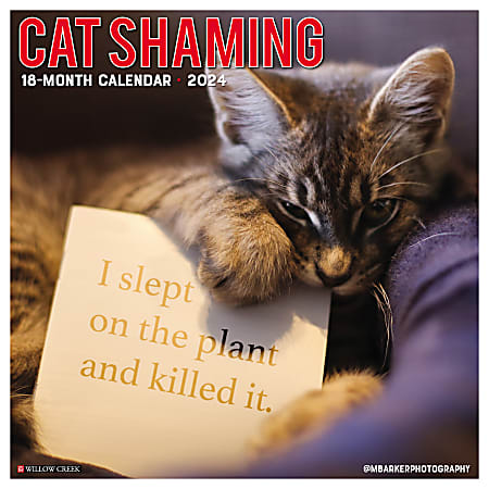 2024 Willow Creek Press Humor & Comics Monthly Wall Calendar, 12" x 12", Cat Shaming, January To December
