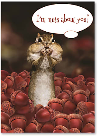 Viabella Love Greeting Card, Nuts, 5" x 7",