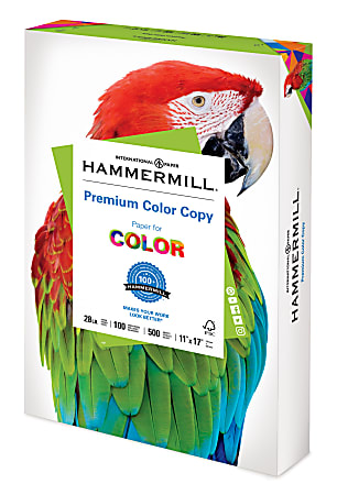 Pack of 100 Color Computer Paper Sheet - Mixed Color Paper