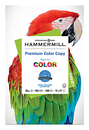  Hammermill Printer Paper, 20 Lb Copy Paper, 11 x 17 - 1 Ream  (500 Sheets) - 92 Bright, Made in the USA : Office Products