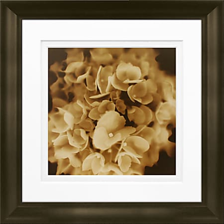 Timeless Frames Marren Espresso-Framed Floral Artwork, 8" x 8", Snowball