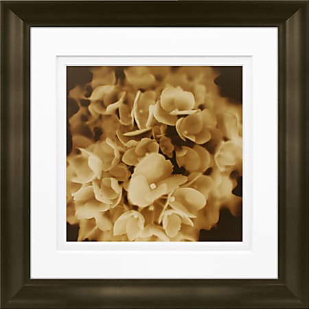 Timeless Frames Marren Espresso-Framed Floral Artwork, 8&quot; x