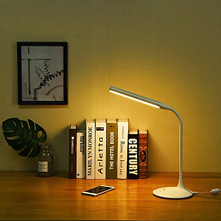 Mountable store desk lamp