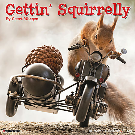 2024 Willow Creek Press Humor & Comics Monthly Wall Calendar, 12" x 12", Gettin' Squirrelly, January To December