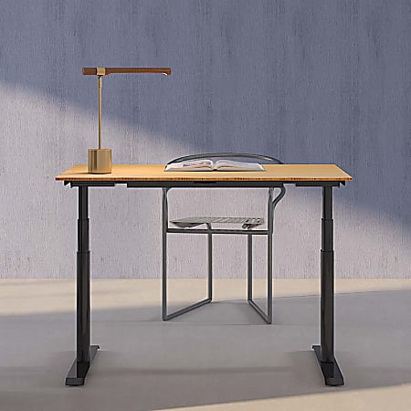 FlexiSpot E8 Electric 55"W Height-Adjustable Standing Desk, Bamboo/Black