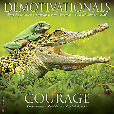 2026 Willow Creek Press Inspirational Monthly Wall Calendar, 12" x 12", Demotivationals, January To December, 50965